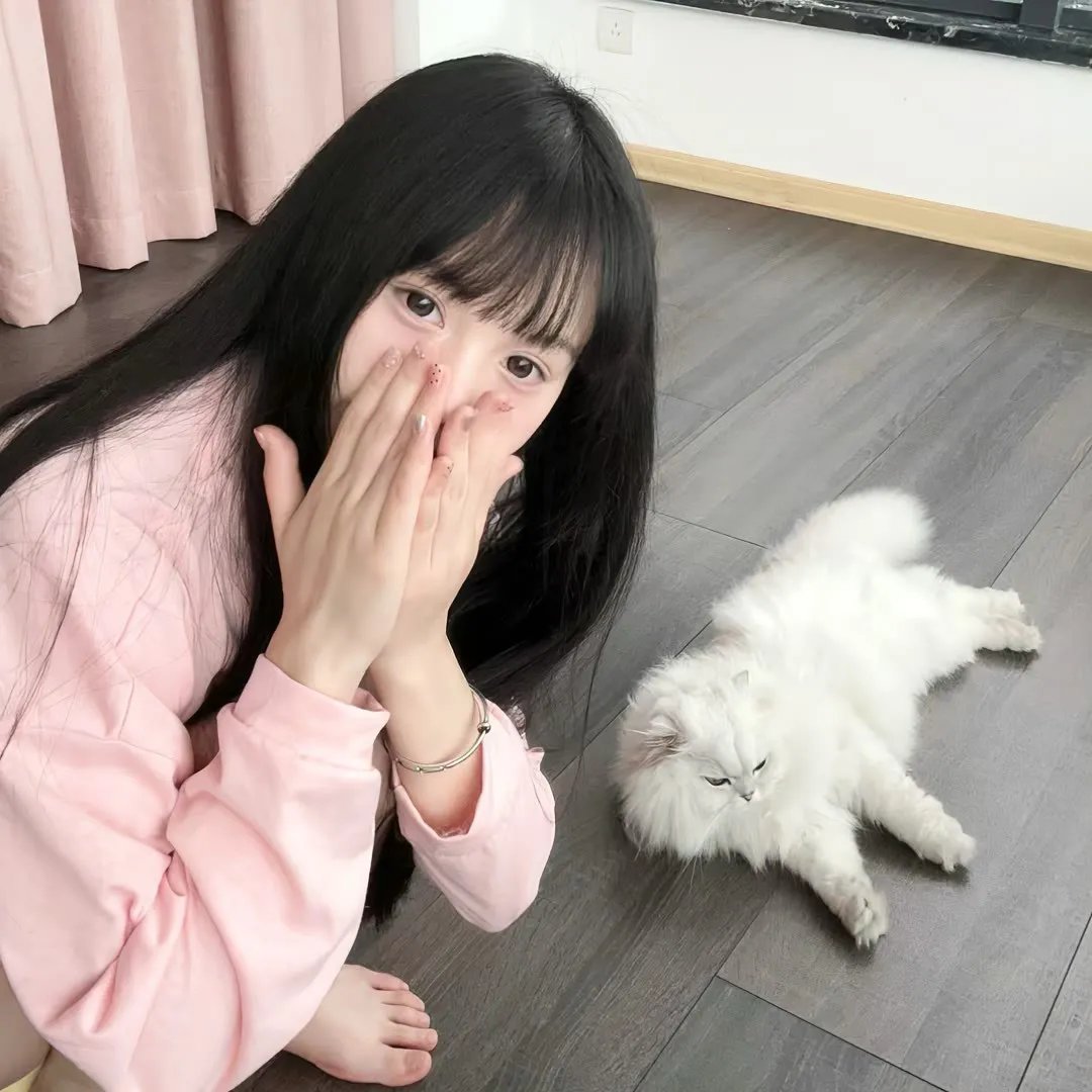 经典合集